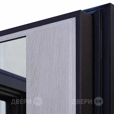 Входная металлическая Дверь Шелтер (SHELTER) Филадельфия Зеркало в Лыткарино