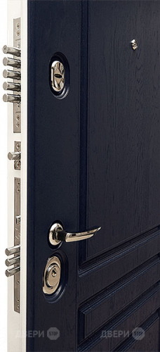 Входная металлическая Дверь Сударь МД-45 в Лыткарино