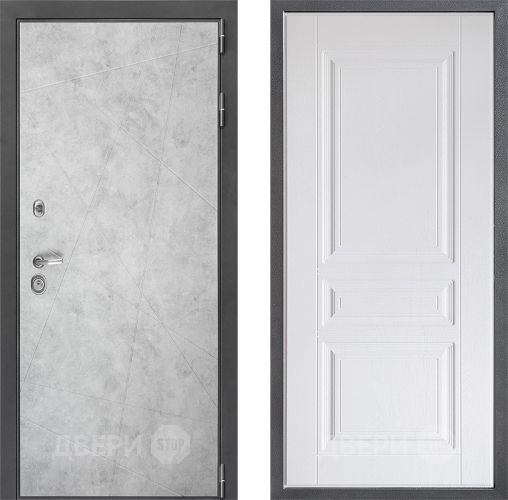 Входная металлическая Дверь Дверной континент ДК-3/743 ФЛ-243 Альберо Браш серебро в Лыткарино